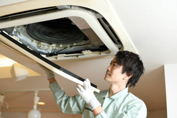 Best Air Vent Cleaning Services  in Powell, TN