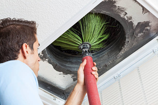 Best HVAC Air Duct Cleaning  in Powell, TN