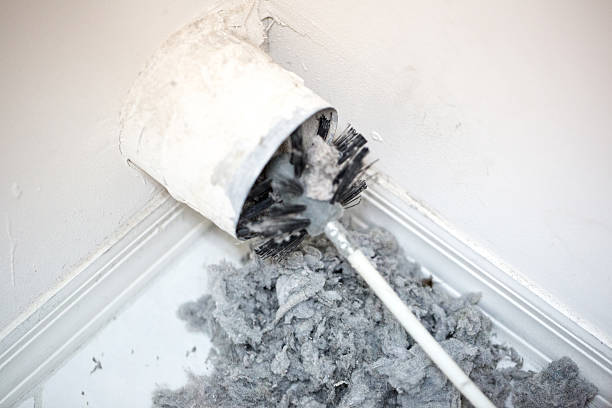 Best Emergency Air Duct Cleaning  in Powell, TN
